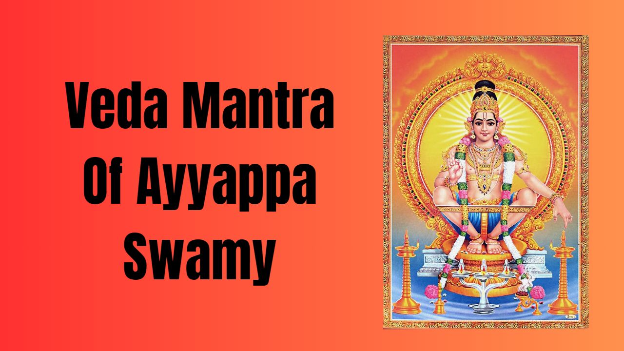 Manchu Lakshmi Performs Yoga Asanas In Ayyappa Society | 4th International  Yoga Day | V6 News - YouTube